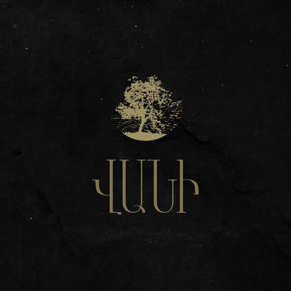 Vani — Brand Identity